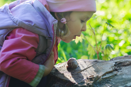 Three years old preschooler girl blowing on crawling edible snail